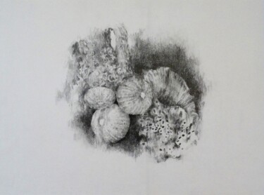 Drawing titled "composition" by Stavroula Chronopoulou-Roux, Original Artwork, Graphite
