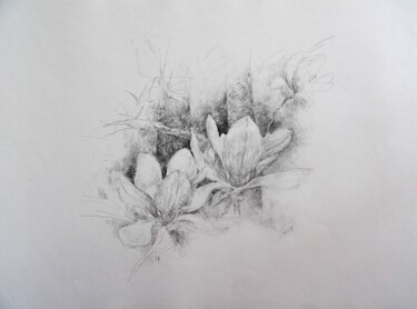 Drawing titled "aube printanière" by Stavroula Chronopoulou-Roux, Original Artwork, Graphite