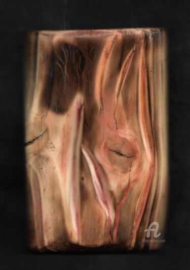 Скульптура под названием "kin et vibration" - Steeve Tabar, Подлинное произведение искусства, Дерево