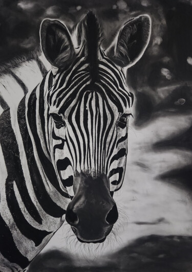 Zeichnungen mit dem Titel "The Zebra Art Drawi…" von Steeven Shaw, Original-Kunstwerk, Kohle