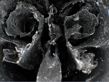 Photographie intitulée "Skull Vision" par Steevens Hill, Œuvre d'art originale, Photographie numérique