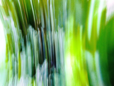 Photography titled "Glypho Green" by Steevens Hill, Original Artwork, Digital Photography Mounted on Wood Stretcher frame