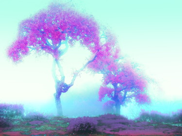 Photography titled "Mystical Fog" by Steevens Hill, Original Artwork
