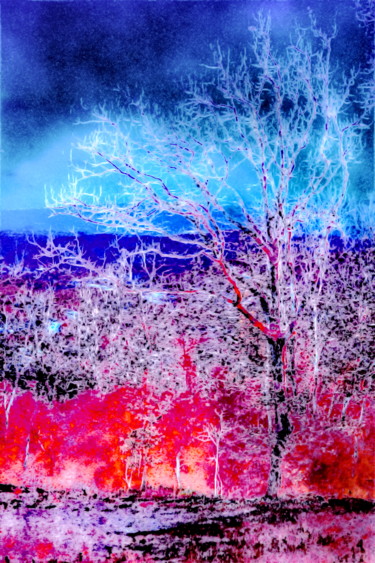 Digitale Kunst mit dem Titel "Land and Ice" von Steevens Hill, Original-Kunstwerk, Andere