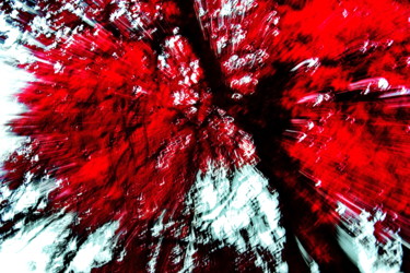 Photography titled "Red Life Explosion" by Steevens Hill, Original Artwork, Other