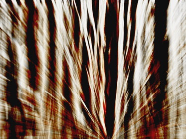 Fotografie mit dem Titel "Wood Immersion" von Steevens Hill, Original-Kunstwerk, Digitale Fotografie