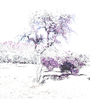 Fotografie mit dem Titel "HighKey Tree Presen…" von Steevens Hill, Original-Kunstwerk, Digitale Fotografie