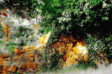 Photographie intitulée "Old Stones Protected" par Steevens Hill, Œuvre d'art originale, Autre