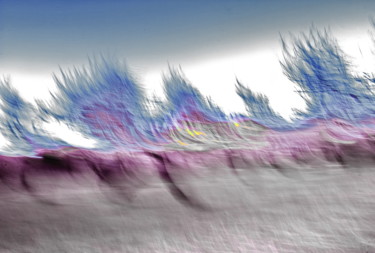 Fotografie mit dem Titel "Infra Scape Reflexi…" von Steevens Hill, Original-Kunstwerk, Digitale Fotografie Auf Keilrahmen au…