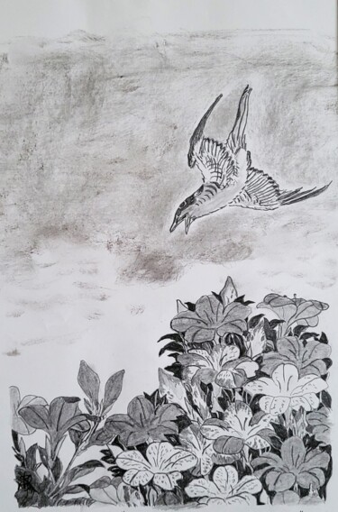 Zeichnungen mit dem Titel "Colibri du Japon" von Stefan, Original-Kunstwerk, Bleistift