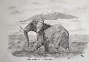 Dessin intitulée "Eléphant devant le…" par Stefan, Œuvre d'art originale, Crayon