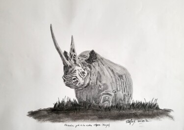 Drawing titled "Rhinocéros près de…" by Stefan, Original Artwork, Pencil