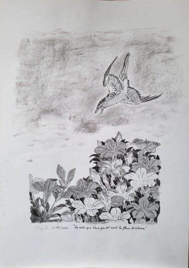 Zeichnungen mit dem Titel "Colibri au Japon" von Stefan, Original-Kunstwerk, Bleistift