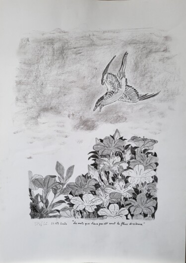 Drawing titled "Colibri au Japon" by Stefan, Original Artwork, Pencil