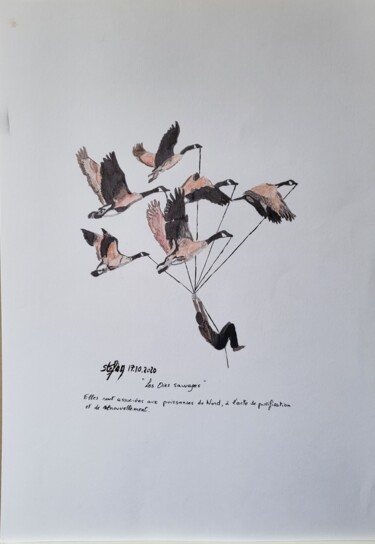 Drawing titled "La migration" by Stefan, Original Artwork, Ink