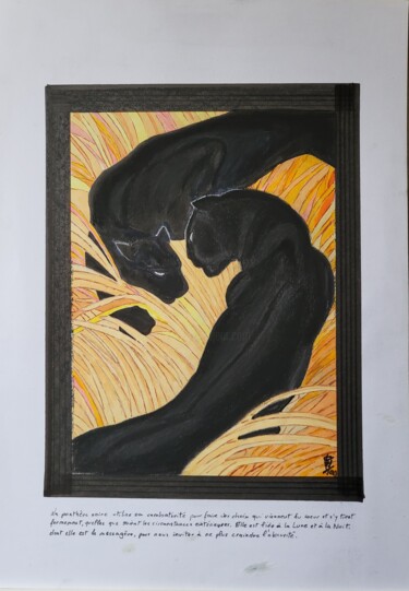 Dessin intitulée "Velours noirs" par Stefan, Œuvre d'art originale, Encre