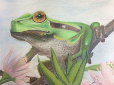 Peinture intitulée "grenouille" par Stefan Dhein, Œuvre d'art originale, Pastel