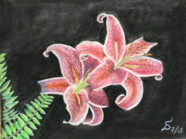 Painting titled "Lys / Lilie" by Stefan Dhein, Original Artwork, Pastel