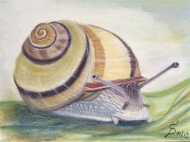 Painting titled "L‘ escargot / die S…" by Stefan Dhein, Original Artwork, Pastel