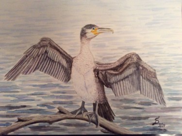Painting titled "le cormoran / Kormo…" by Stefan Dhein, Original Artwork, Watercolor