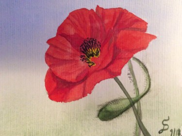 Painting titled "Mohnblume / poppy /" by Stefan Dhein, Original Artwork, Watercolor