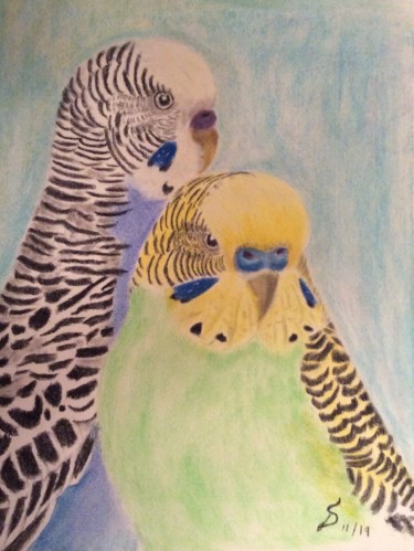 Painting titled "perruches 2/ Budgie…" by Stefan Dhein, Original Artwork, Pastel