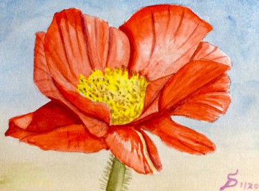Painting titled "le coquelicot rouge" by Stefan Dhein, Original Artwork, Watercolor
