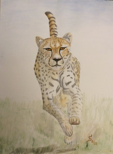 Painting titled "la chasse du guépard" by Stefan Dhein, Original Artwork, Watercolor