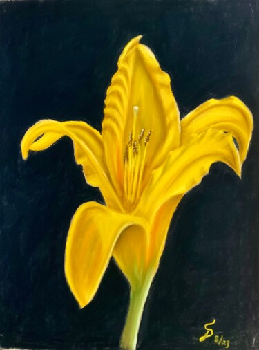 Pintura titulada "Lis jaune // yellow…" por Stefan Dhein, Obra de arte original, Pastel