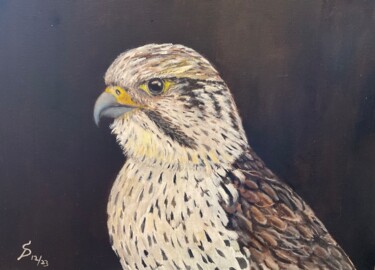 Painting titled "Saker Falcon // fau…" by Stefan Dhein, Original Artwork, Oil