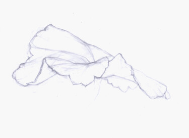 Drawing titled "A leaf of a pelargo…" by Stefan Fransson, Original Artwork, Pencil