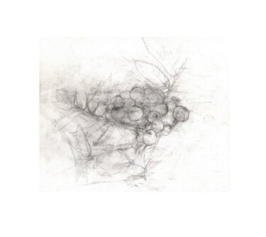 Drawing titled "A Cluster of Rowans" by Stefan Fransson, Original Artwork, Pencil