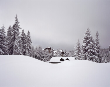 Photographie intitulée "Winter Spell" par Stefana Savic, Œuvre d'art originale, Photographie argentique