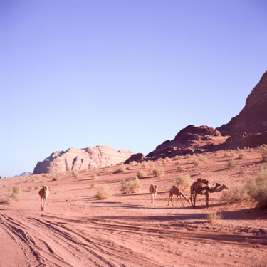 Fotografia intitolato "Wadi Rum Desert" da Stefana Savic, Opera d'arte originale, fotografia a pellicola