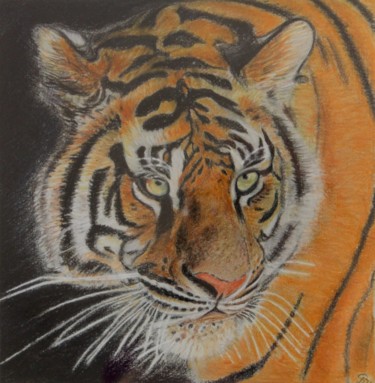 Painting titled "Tigre 1" by Stefano Di Marco, Original Artwork, Pastel