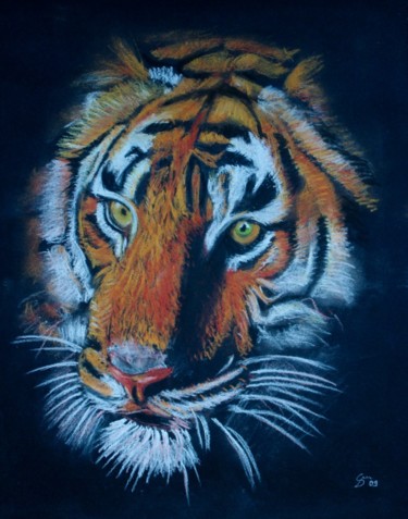 Painting titled "Tigre 2" by Stefano Di Marco, Original Artwork, Pastel
