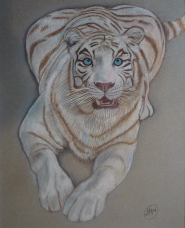 Pintura titulada "Tigre bianca 1" por Stefano Di Marco, Obra de arte original, Pastel