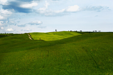 Fotografia zatytułowany „toscana.jpg” autorstwa Stefano Sandonnini, Oryginalna praca, Fotografia cyfrowa