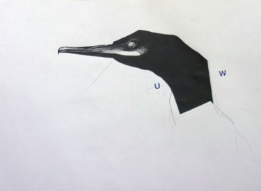 Dessin intitulée "c:/arwu/birds.12.1" par Swaxu, Œuvre d'art originale