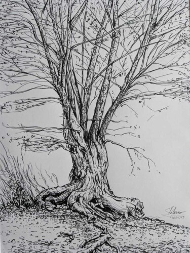 Drawing titled "L'arbre" by Stéfarno, Original Artwork, Marker Mounted on Cardboard
