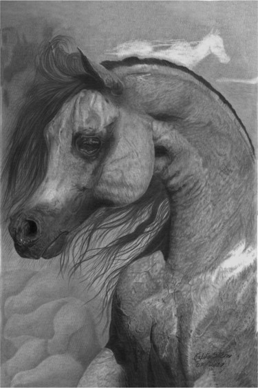 Drawing titled "Arabian's" by Talita Stein, Original Artwork, Graphite