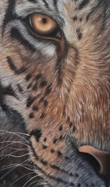 Peinture intitulée "tigre étude sur toi…" par Steivan Loundou, Œuvre d'art originale, Huile Monté sur Carton