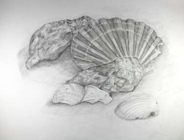 Drawing titled "creation-of-point-o…" by Stella Polare, Original Artwork, Pencil