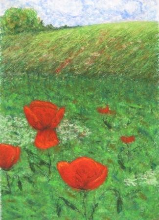 Painting titled "Poppy in country" by Stella Velka, Original Artwork, Oil