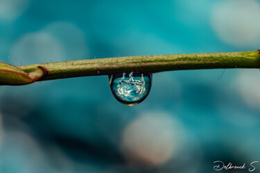 Photographie intitulée "Spach Water" par Stéphan Delbrouck, Œuvre d'art originale, Photographie numérique