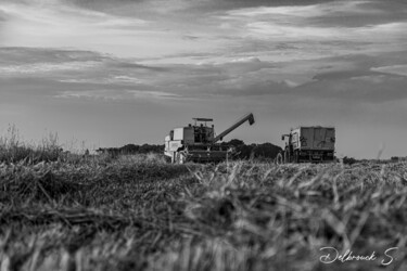 Fotografia zatytułowany „Le Fermier et sa Fi…” autorstwa Stéphan Delbrouck, Oryginalna praca, Fotografia cyfrowa