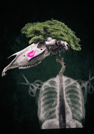 Arts numériques intitulée "Mother Nature - Lim…" par Stéphane Bénito, Œuvre d'art originale, Photographie manipulée