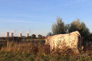 Photographie intitulée "En route pour la ma…" par Stéphane Etienne, Œuvre d'art originale