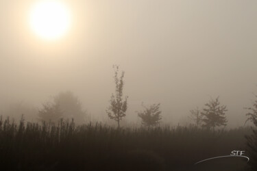 Photographie intitulée "Brouillard matinal…" par Stéphane Etienne, Œuvre d'art originale, Photographie numérique