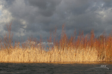 Photography titled "Rivage d'hiver." by Stéphane Etienne, Original Artwork, Digital Photography